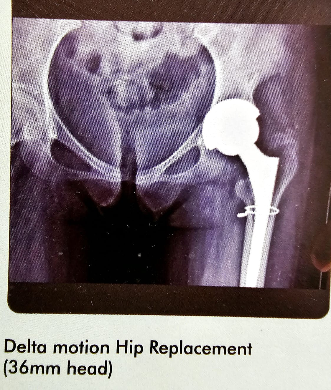 photo 2023 05 27 12 28 55